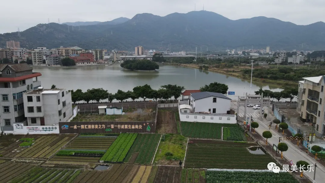 長(zhǎng)樂(lè)唯一！古槐鎮(zhèn)嶼北村躋身福建省美麗休閑鄉(xiāng)村名單