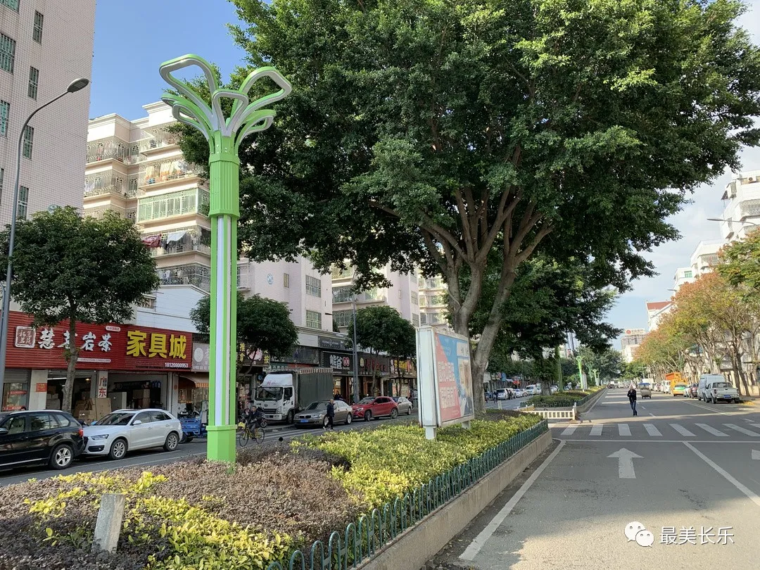 亮了，靚了！朝陽路路燈改造項(xiàng)目基本完工