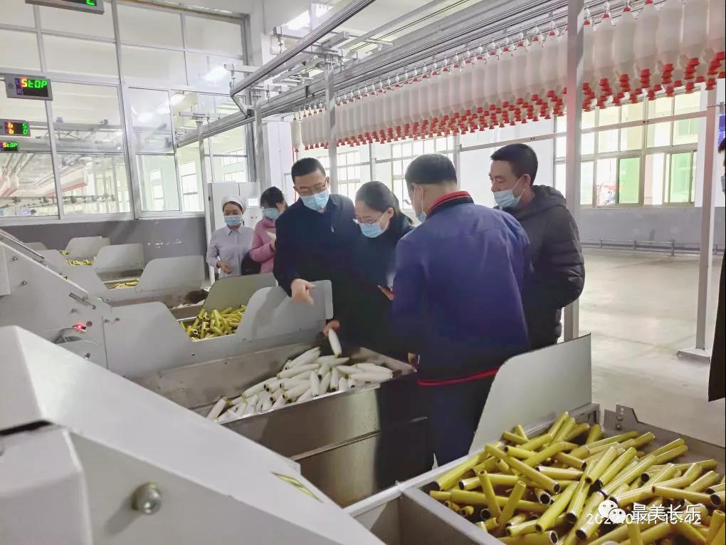 政策暖人心！寧夏脫貧人口就業(yè)“飯碗”端得更穩(wěn)了