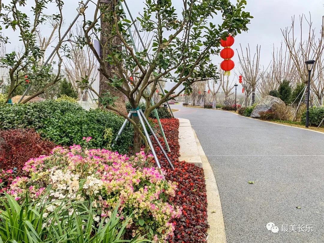 洞江湖公園正式完工！這個春節(jié)一起去打卡吧