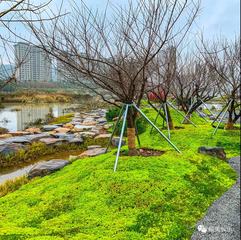 洞江湖公園正式完工！這個春節(jié)一起去打卡吧