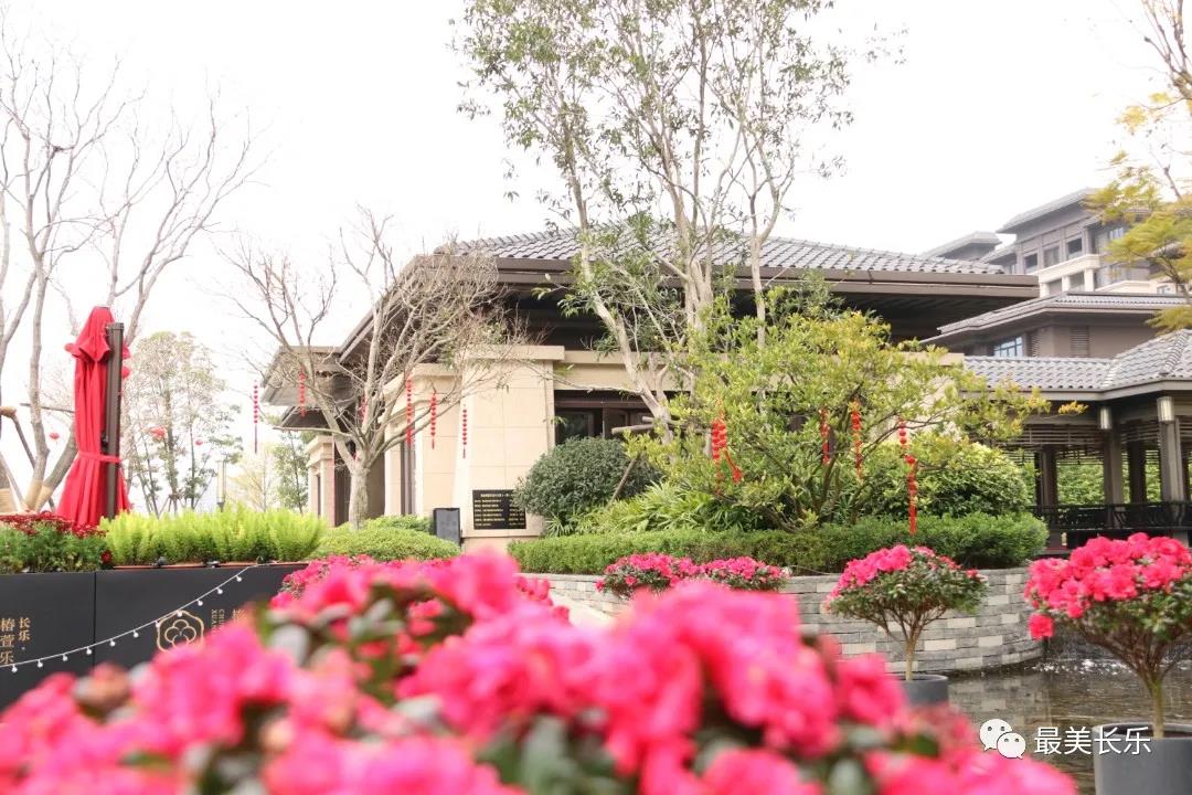 改革動態(tài)|新型康養(yǎng)時代來了！打造“向往的生活”，這個社區(qū)不一般!