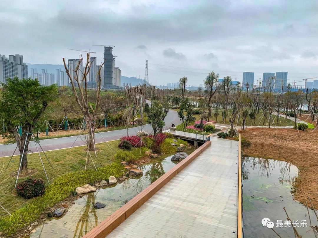 洞江湖濕地公園內(nèi)梅花凌寒盛放