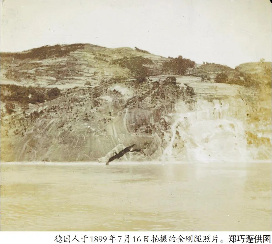 百年前，金剛腿即受國內(nèi)外關(guān)注