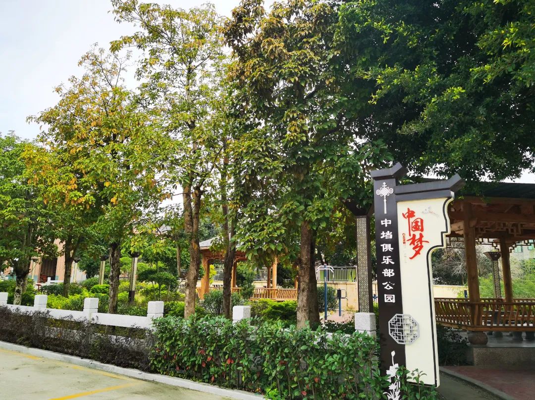 改革動態(tài)|鄉(xiāng)村振興繪新卷 魅力東海留鄉(xiāng)愁
