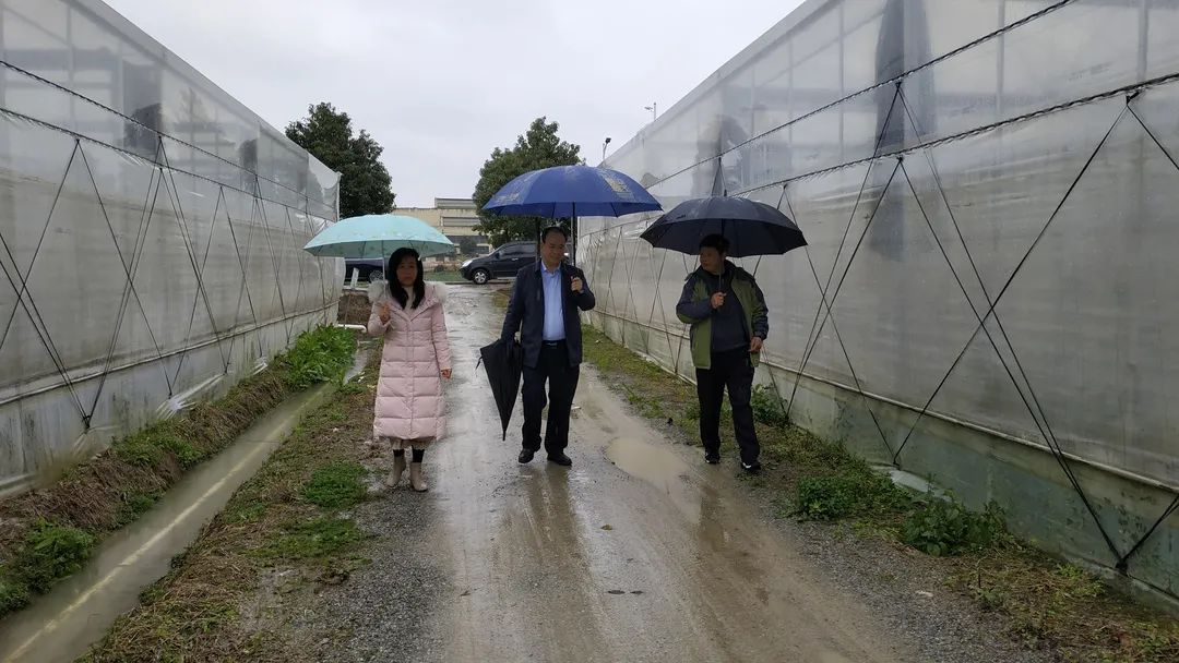 積極防范低溫天氣，他們忙碌在田間地頭……