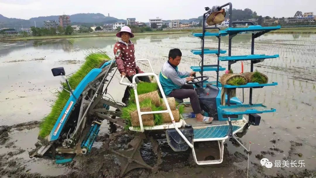 長樂春耕備種足，農(nóng)民購種田地忙……