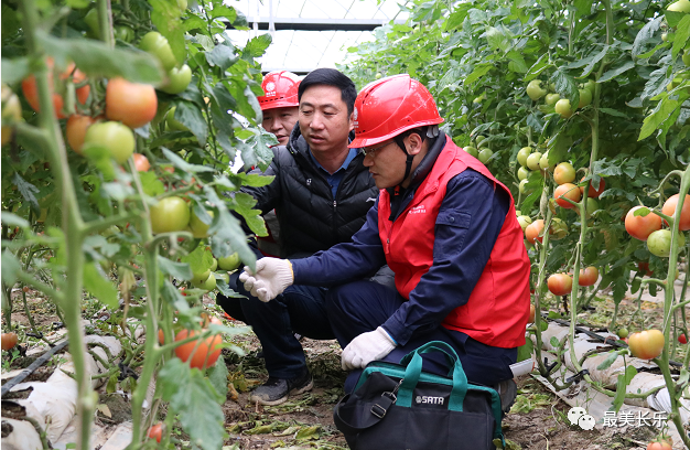 貼心！上門送服務(wù)，保障農(nóng)業(yè)用電！