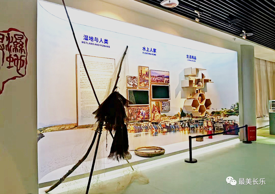 改革動態(tài)|快看！閩江河口濕地博物館上新啦!
