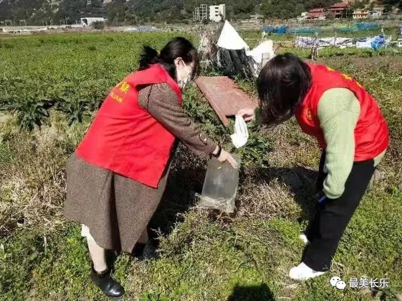 1100余人次，回收近630公斤！我區(qū)田園清潔行動讓田園更美麗