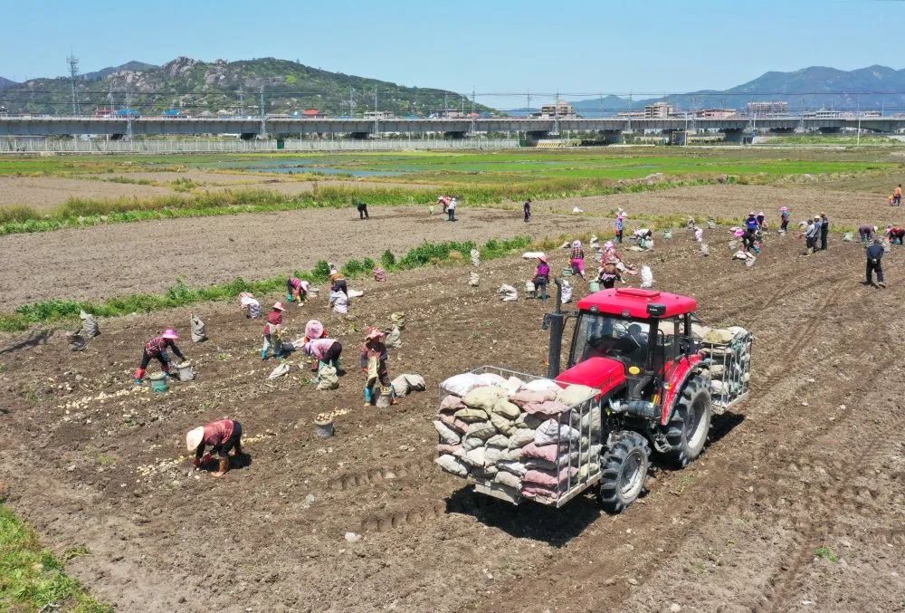 點贊！長樂這位“90后”的“新農(nóng)人”