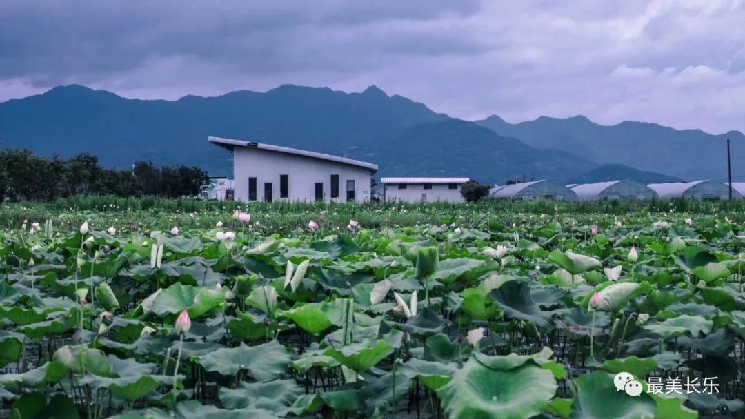 改革動態(tài)|市級休閑農業(yè)示范點！長樂入選2個！