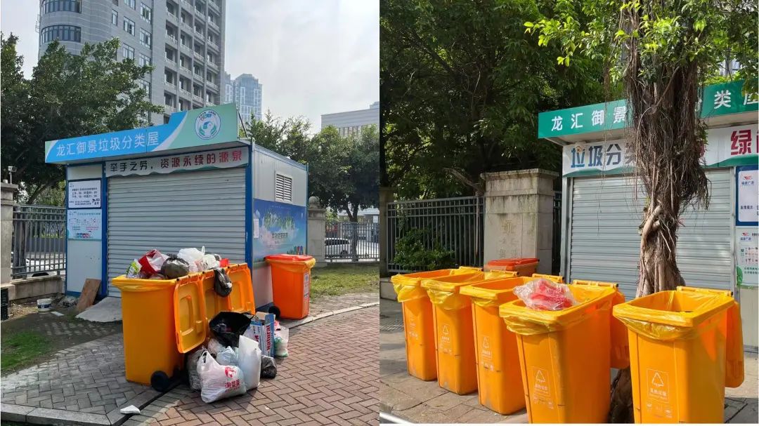 改革動態(tài)|注意！這些生活垃圾分類違規(guī)行為被曝光！