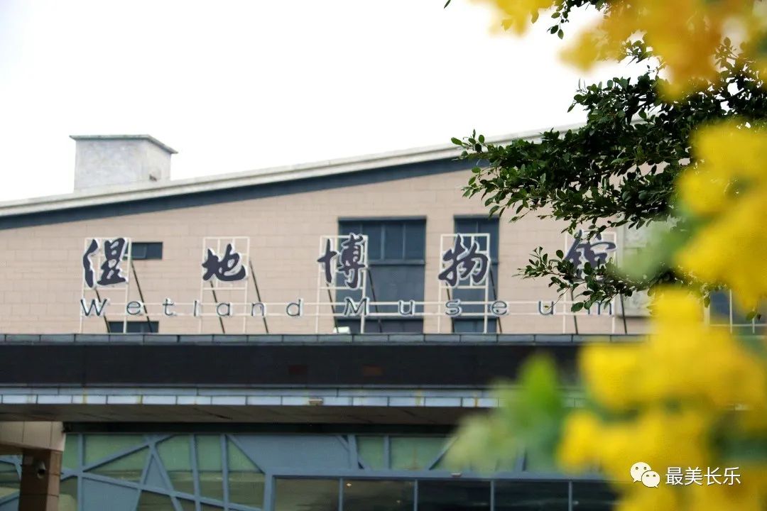 改革動態(tài)|閩江河口濕地的“進(jìn)與退”