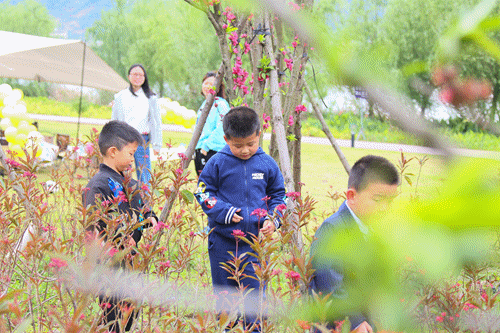 “濕”情畫意！長樂這個寶藏公園，你去過了嗎？