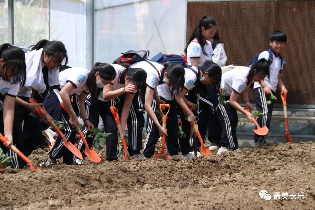 種地瓜、挖土豆......長樂這個研學(xué)基地把勞動課堂搬進地里