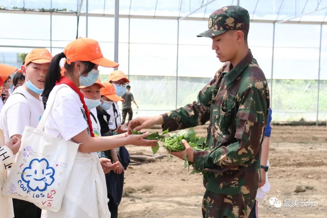 種地瓜、挖土豆......長樂這個研學(xué)基地把勞動課堂搬進地里