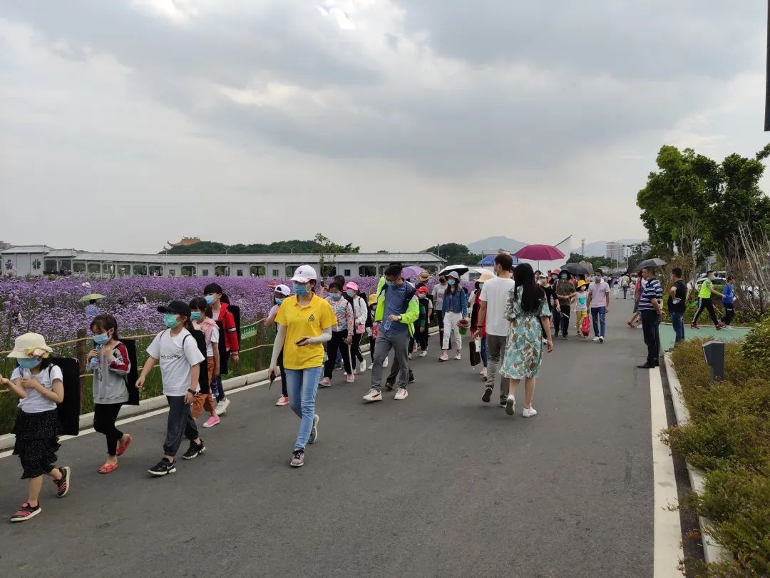 閩江口：濕地重生 萬鳥翔集