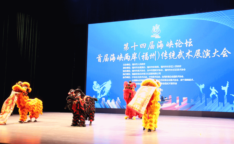 以武會(huì)友！兩岸武術(shù)界在航展演傳統(tǒng)武術(shù)！