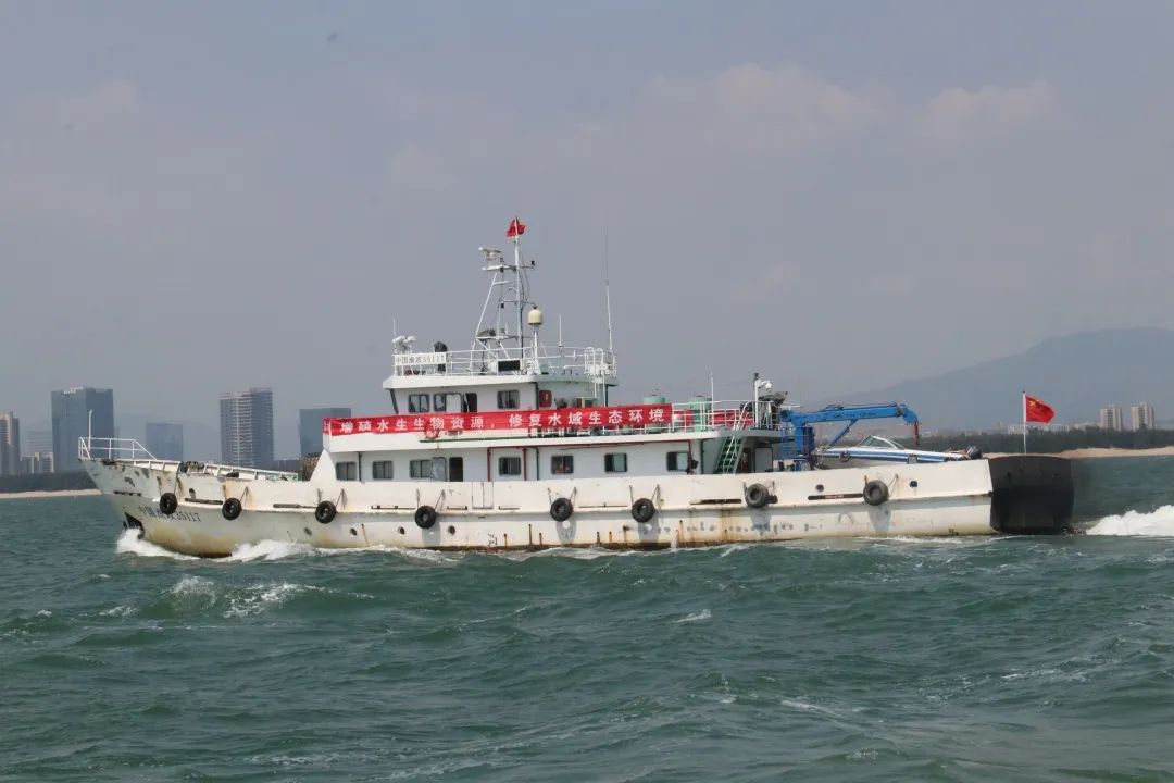 “乘風(fēng)破浪”！35萬(wàn)海蚌寶寶歸家......