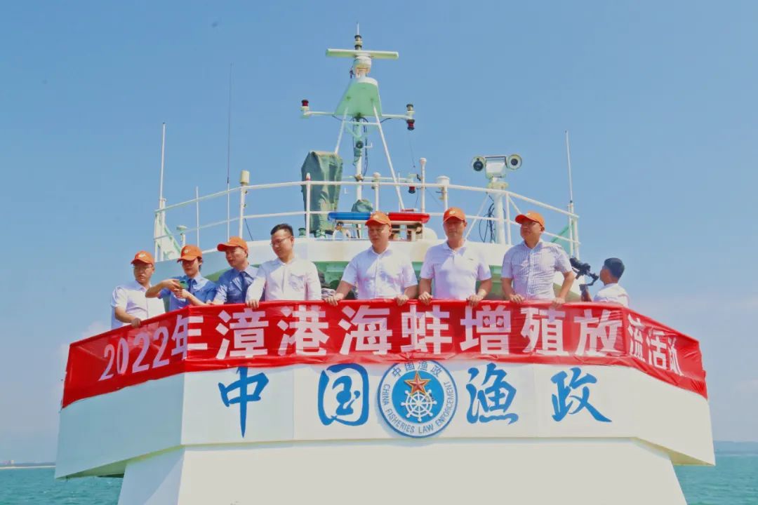 “乘風(fēng)破浪”！35萬(wàn)海蚌寶寶歸家......