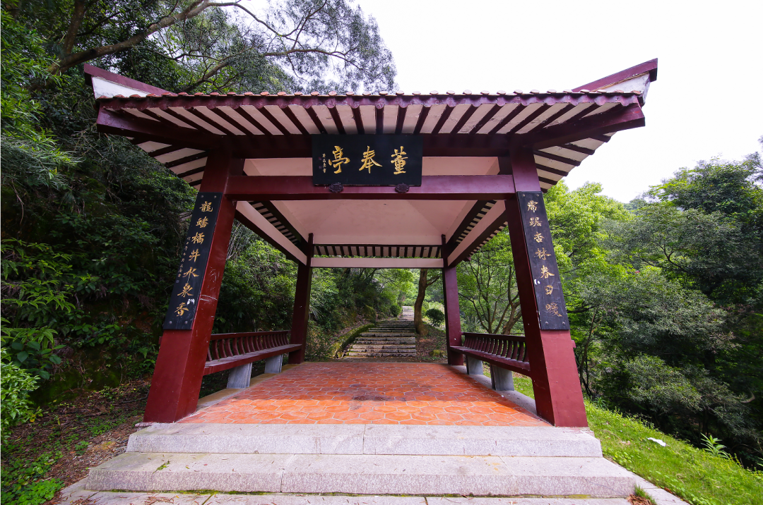 改革動(dòng)態(tài)|全省首批！就在長樂這里......