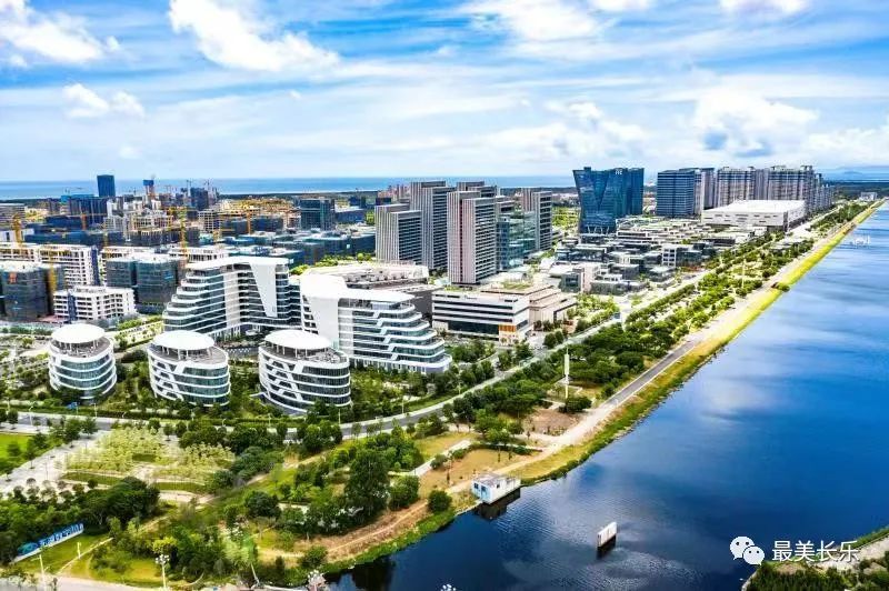 改革動(dòng)態(tài)|風(fēng)起東海之濱 潮涌新興之地