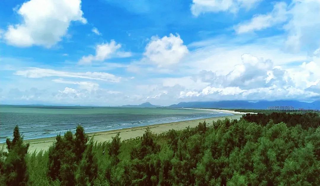 改革動(dòng)態(tài)|風(fēng)起東海之濱 潮涌新興之地