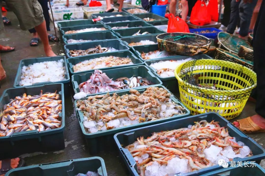 想搶“鮮”！就來(lái)長(zhǎng)樂(lè)這里……