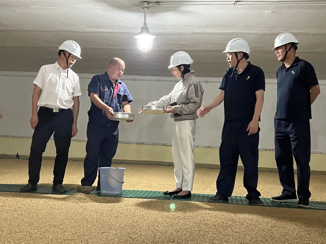 “長樂速度”再現(xiàn) 省級儲備糧長樂直屬庫擴(kuò)建項目快馬揚(yáng)鞭！