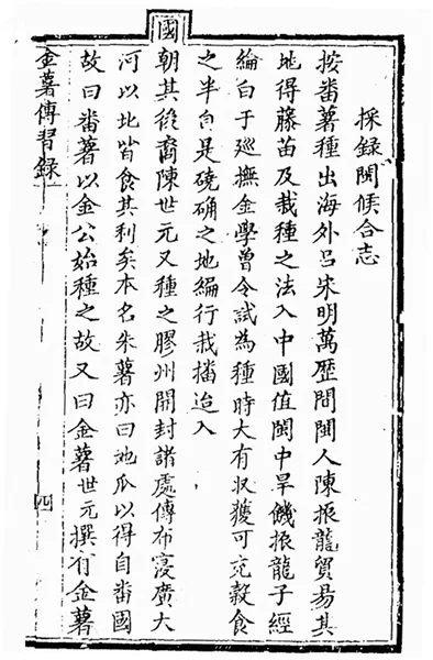 八閩文脈·人物 | “中國甘薯之父”陳振龍一家七代引種推廣甘薯的故事