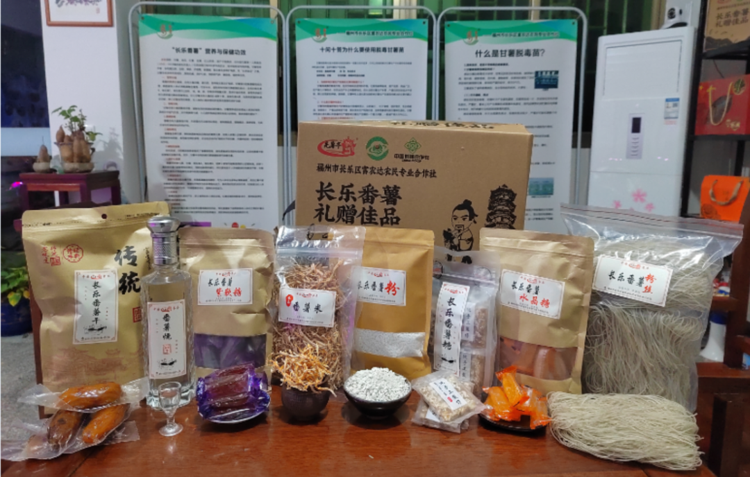 180個番薯品種！長樂這個科技園真有料