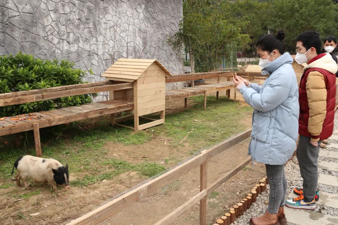 藏不住！新年第一天，長樂這里又新增兩處“網(wǎng)紅打卡點(diǎn)”→
