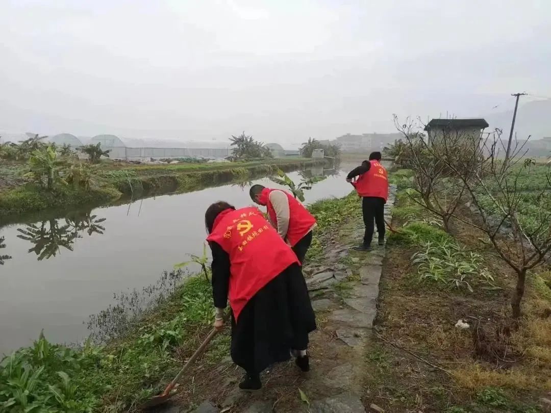 全員行動！長樂“護河愛水、清潔家園”行動不停歇