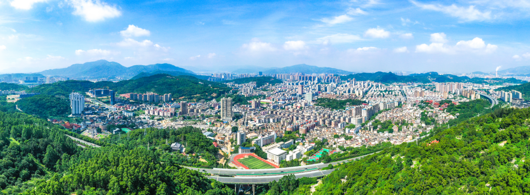 過去的一年，它們?nèi)脒x“國家隊”！