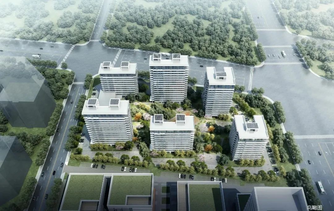 新春走基層丨1178套！多種戶型！這里的租賃住房進度已刷新~