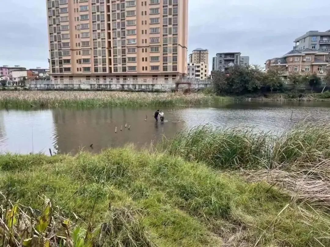 驚險！女子跳湖輕生！危機時刻……