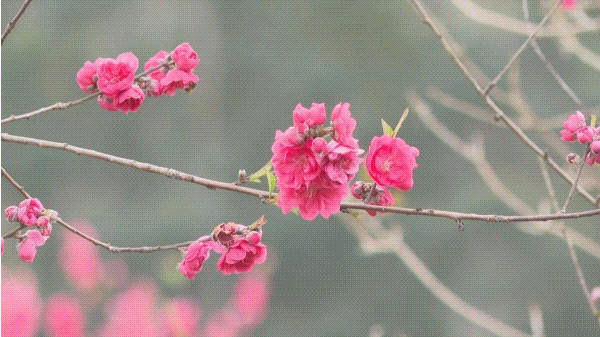 “花花世界”！你想要的都在這里！