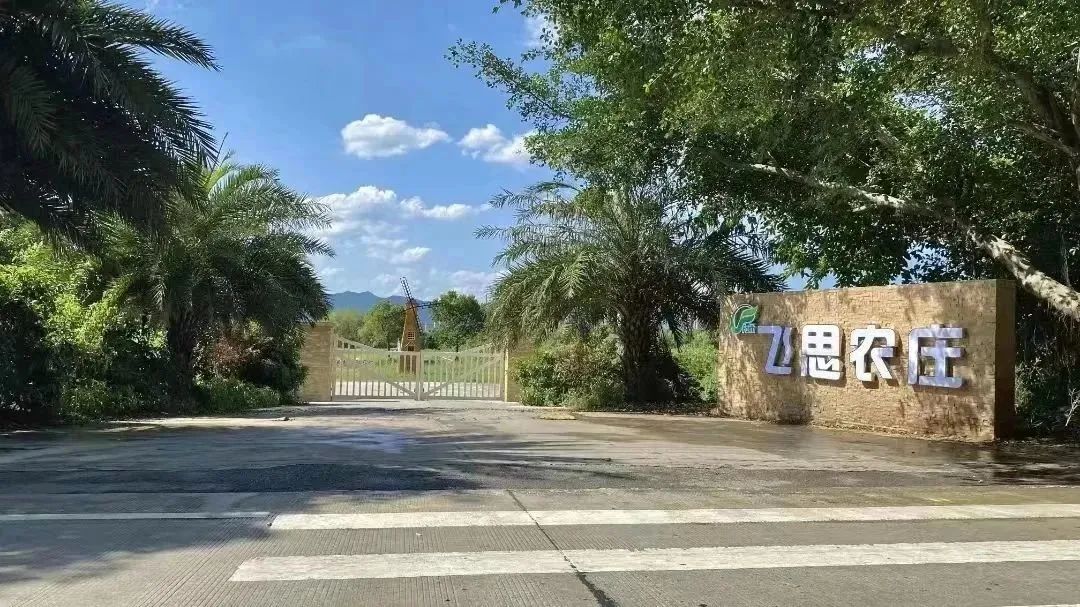 “花花世界”！你想要的都在這里！