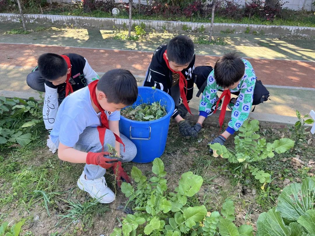 “植”此青綠，在長(zhǎng)樂我們這樣擁抱春天......