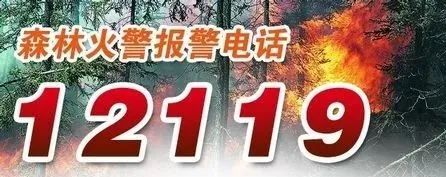 森林防火正當(dāng)時，這些知識須知道！