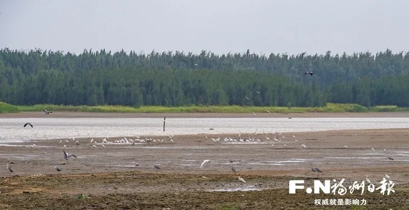 即將建成！長(zhǎng)樂(lè)最美“海岸線”進(jìn)度公布！