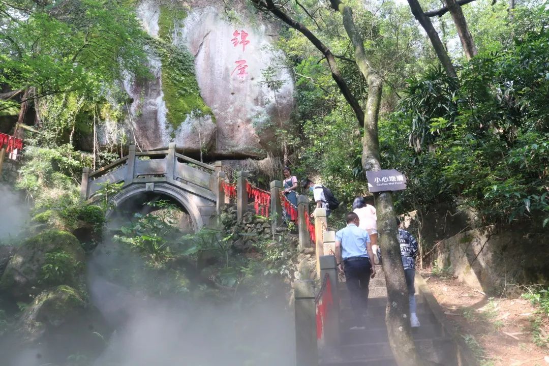 “五一”帶你穿越侏羅紀(jì)！一大波恐龍今天空降這里……
