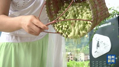 全國名單公示！長樂上榜！