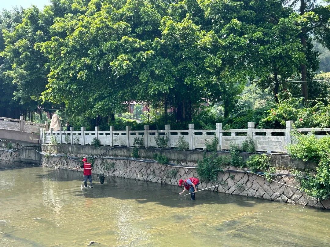 民聲零距離 ||“煩心路”變“暖心路”！就在長樂這里……