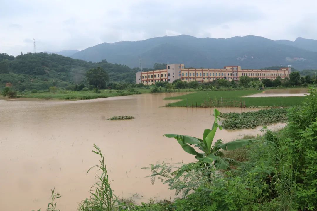 長樂雨量破歷史極值，遠(yuǎn)超“杜蘇芮”和“龍王”臺風(fēng)……
