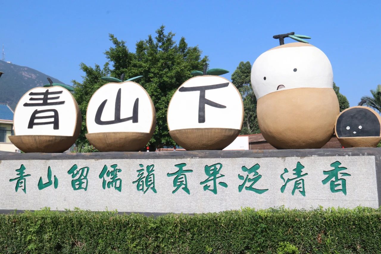 8萬元！今年的“龍眼王”誕生了！
