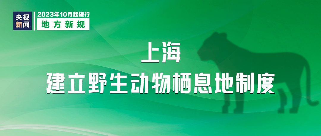 今起施行！長樂人注意！