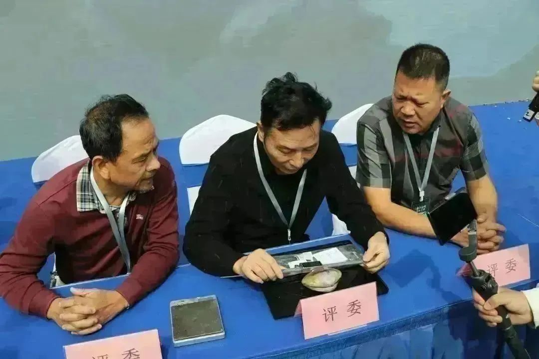 與你長蚌！今天，長樂這里沸騰了
