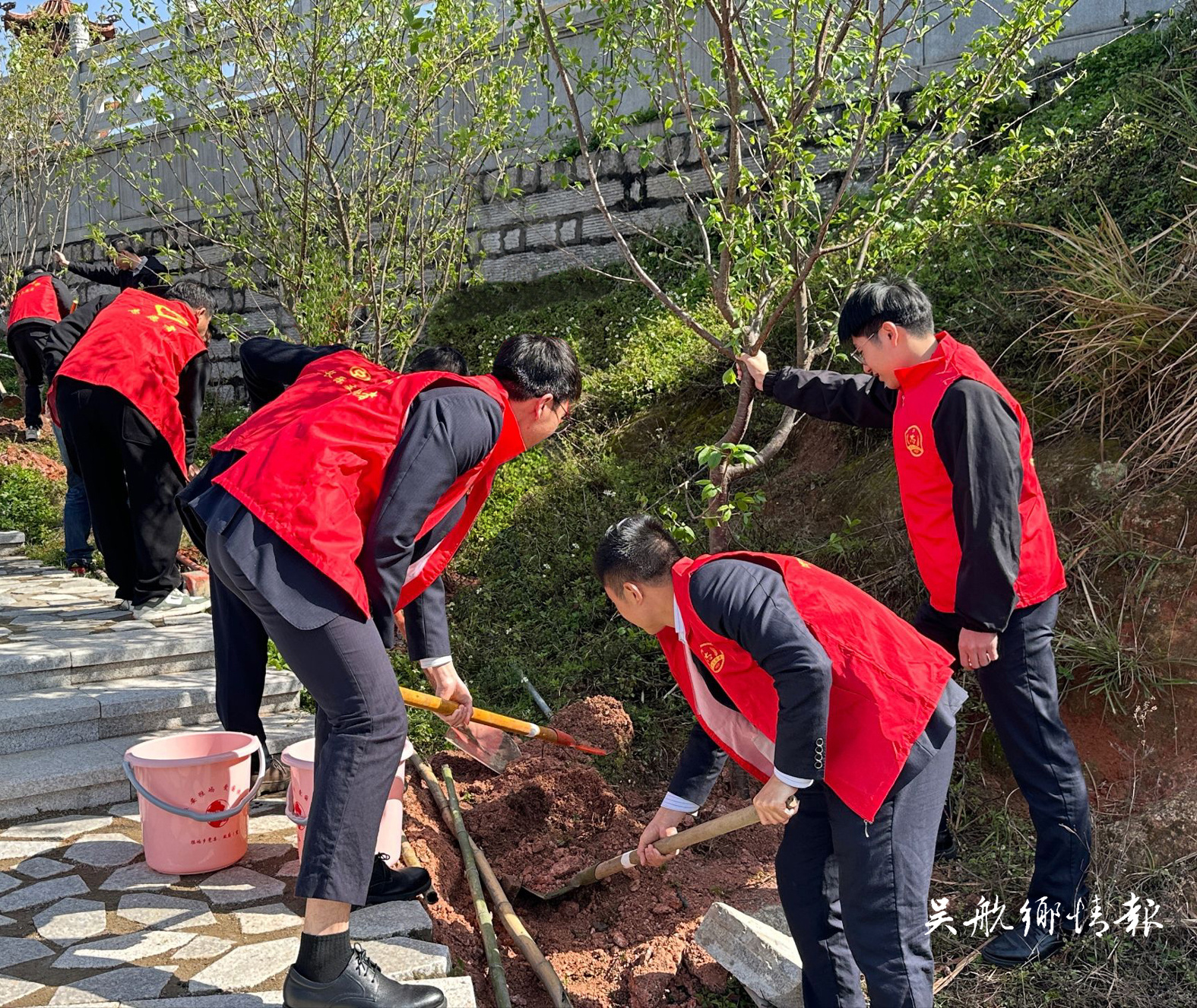 不負(fù)春光添新綠 全民植樹(shù)熱情高